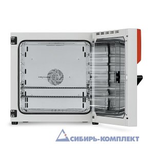 Термостат BF 115 (BINDER)
