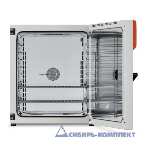Термостат BF 240 (BINDER)