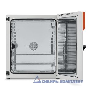 Термостат BF 240 (BINDER)