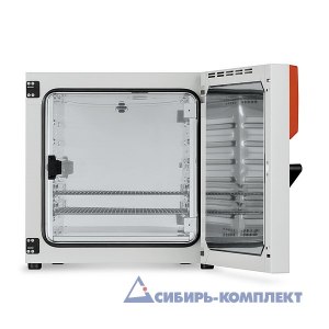 Термостат BD 115 (BINDER)
