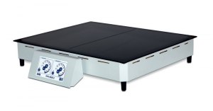 Плита нагревательная ПРН-6050-2
