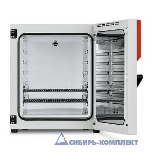 Шкаф сушильный ED 240 BINDER