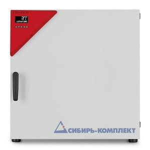 Шкаф сушильный FED 115 (BINDER)
