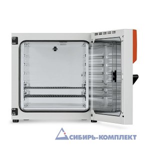 Термостат BD 115 (BINDER)