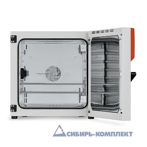 Термостат BF 115 (BINDER)